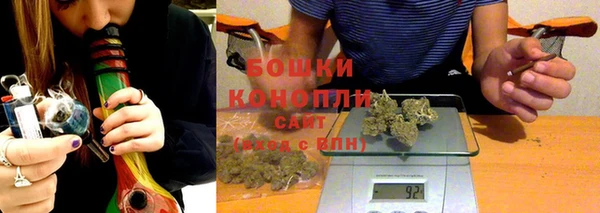 индика Надым