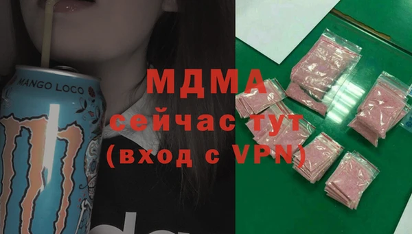 индика Надым