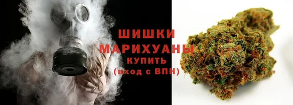 индика Надым