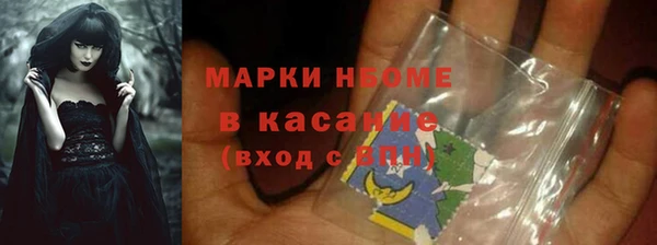 индика Надым