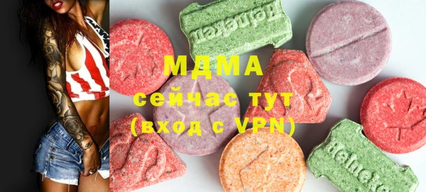 индика Надым