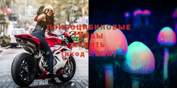 индика Надым