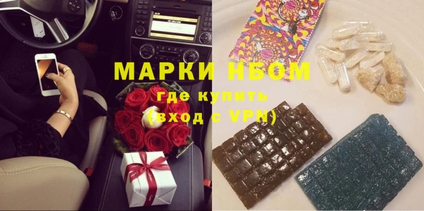 индика Надым