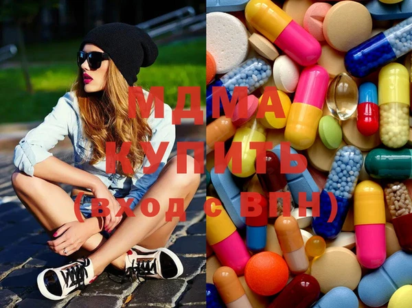 индика Надым