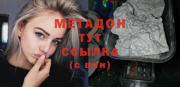 индика Надым