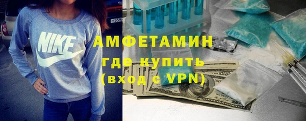 индика Надым