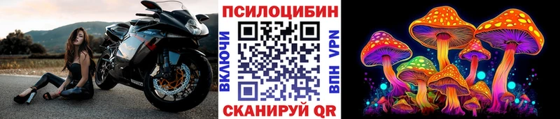 Псилоцибиновые грибы мицелий  цена   Нерчинск 